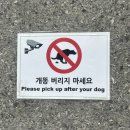 알꽁달꽁 | 사진첩 정리하려고 블로그 씁니다.