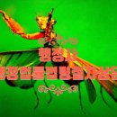 일신행정사 이미지