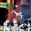 경희대박사 태산태권도 이미지