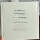 w. 허니모어 세인트 청첩장 제작 후기 / 느좋 청첩장을 찾고 계신다면 💌 🫧