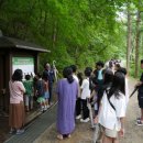 힐링 캠프 이미지