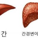 경화 이미지
