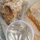 봉일천초등학교 이미지