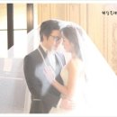 보떼벨로 이미지