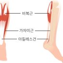 매교 이미지