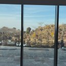 씨유제주송당마을점 | [제주] 송당 스타벅스 더제주송당파크R점 후기 (제주 동화마을 카페 추천)