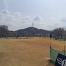 부강생활체육공원 이미지