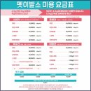 신정애견 이미지