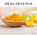 강황 효능 강황가루 먹는법 이미지