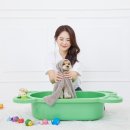 댕댕이애견 이미지