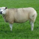 무학모텔 이미지