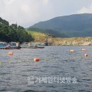 도장포낚시터 이미지