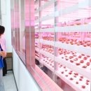 박영선농장 이미지