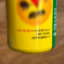 뿌리약국 | 비오킬 뿌리파리 퇴치후기 약국구매 가격 사용법