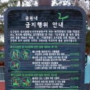 다사랑어린이공원 이미지