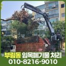 부림동010 이미지