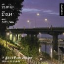 보고약국 | 약국 철분제 꾸준히 먹어 보고 남기는 후기