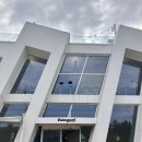 소나무카페(소나무관광농원) | 강릉 가족여행 1박 2일 1일차 코스｜찜대감·강문해변·깔라마리·윈팰리스·뒷뜨루