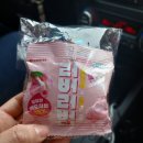 경남고성공룡박물관/상족암/공룡엑스포/고성여행/경남고성/출사커플/간만에주말데이트/사량도/봄이오는...
