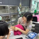 다인동물병원 네이버블로그