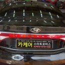황금카모터스 이미지