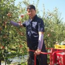 대구경북능금농협(청송) APC | 대구경북능금농협 정일선 이사