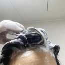 뷰티미용실 이미지