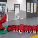 코리아 합기도 이미지