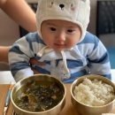 세실농장 이미지