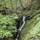대둔산(새천년 리찌 산과동행 산우들~ 2026/5/23 이미지