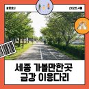 이응다리 북측 화장실 | [세종 가볼만한곳]이응다리(금강보행교) 주차, 포토존, 스카이워크, 놀이터까지 완벽 가이드