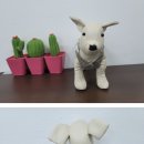 보기공방협동조합 이미지