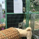 7/11 토요일☀️☀️☀️ 봉사일기장🐾 이미지
