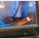 상무지구입구 이미지