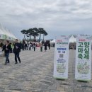 화려한마실