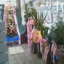 태성동물병원 이미지