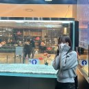 투다리서농점 | 우리가 맞다는 대답을 할 거예요