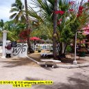 네그로스섬 최신여행정보3(산카를로스,시퍼웨이섬)산카를로스에서 톨레도 가는 방법 이미지