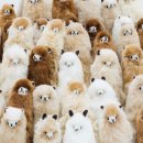 윙크 부산경성대점 | 21014 아가리다이어터의 새해