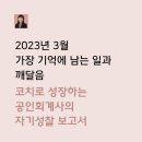 공인회계사로의 3월(자기성찰 보고서)