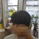 팀스헤어샵