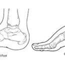 김포아이제일병원 이미지