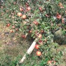 옥동농장 이미지