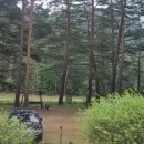 금강송민박 이미지