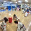 사랑태권도 이미지