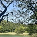 깡아지미용실 이미지