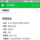 네프리스에스정에 솔리다기니스 성분이 들어있네요 이미지