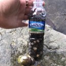 가인야영장 이미지