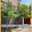 화단나무자르기 창문가림해결