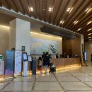 소노캄 델피노 A . B 이미지